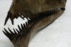 공룡화석조형물