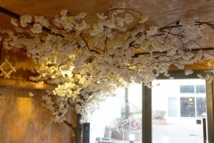 일산 대화동 '흩날리는 벚꽃 잎을 커피 잔 에 담다'