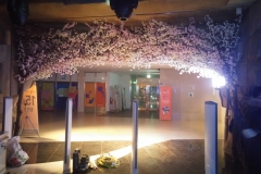 판교아이큐아리움 입구 및 매표소옆 벚꽃나무